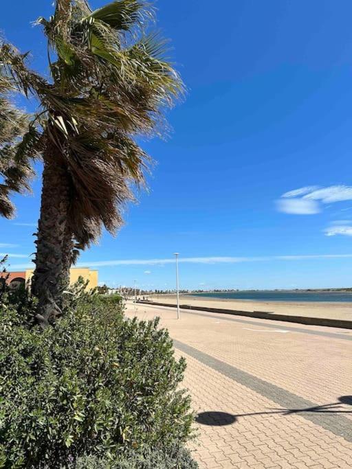 גרואיסאן Studio Cosy A Deux Pas De La Plage ! מראה חיצוני תמונה